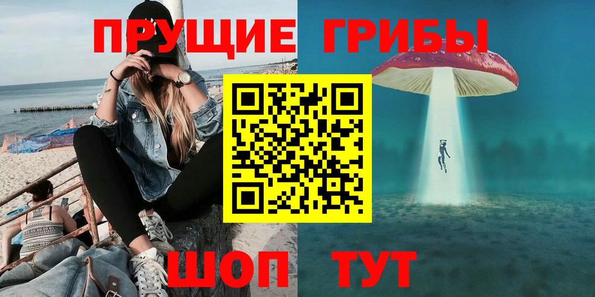 Псилоцибиновые грибы Psilocybine cubensis  Вход с VPN  наркота  Королёв 