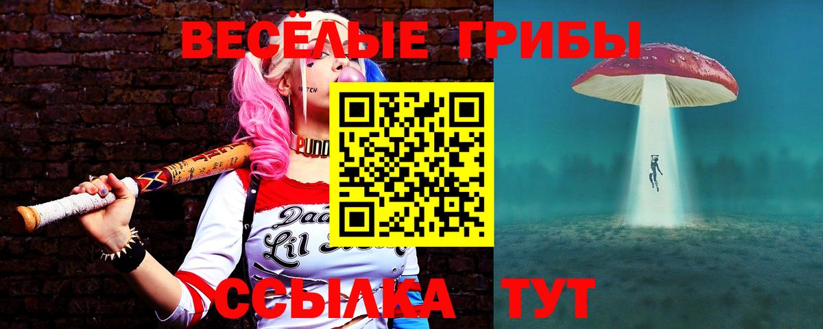  COCAIN Королёв
