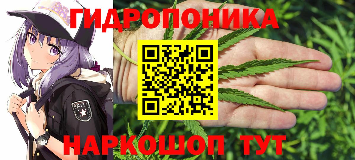 Конопля ГИДРОПОН  Вход с VPN  МАРИХУАНА семена  Королёв 